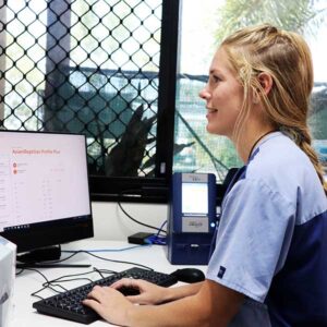 Nurse enters pet information into a computer system