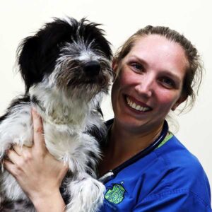 Vet holding a black and white dog