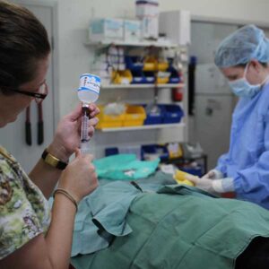 Vet operates on pet while nurse draws injection