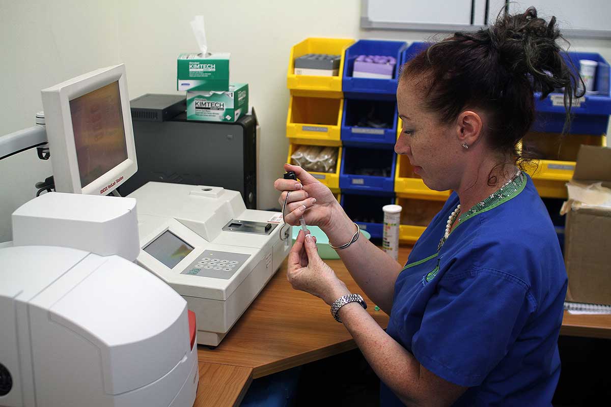In House Diagnostics and Pathology
