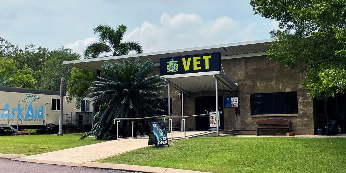 Photo of the front of The Ark Animal Hospital. A modern building with a large green VET sign, surrounded by green lawn and palm trees.