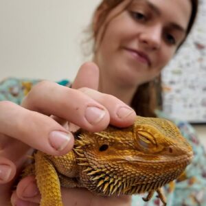 Vet nurse with a bearded dragon
