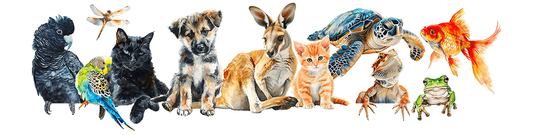 Image of a variety of pets and wildlife including dogs, cats, birds and reptiles